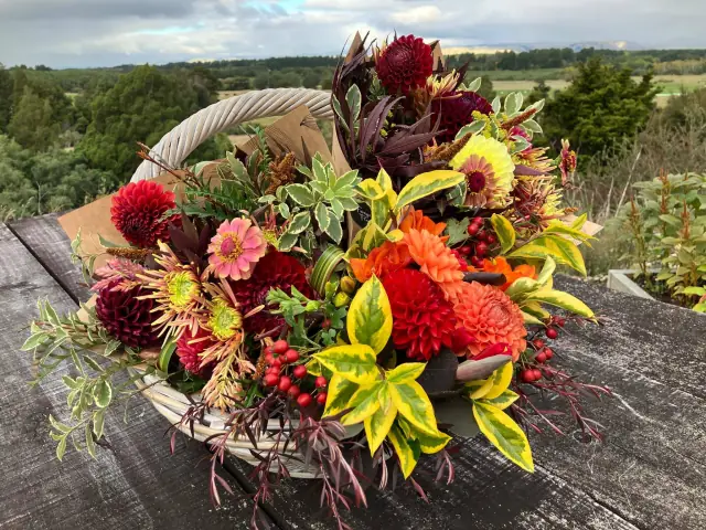 Autumn basket of dahlias, berries and variegated foliage with the Wairarapa hills behind
