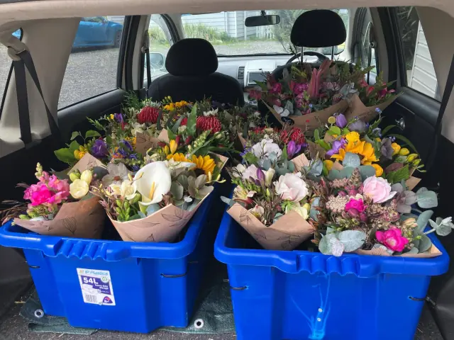 Fresh bunches packed in crates in the back of a car, ready for local delivery