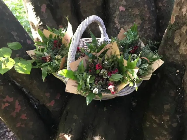 Winter bunches of foliage and berries in a white wicker basket among tree trunks